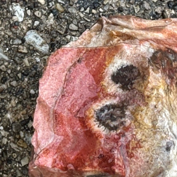 Meet your Posher, Bedrock Barbie - Picture 12 of 13